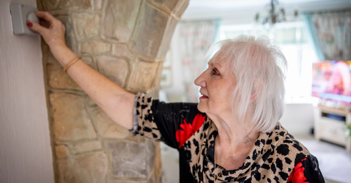 HMOs Drive Higher Standards and Yields in UK Buy-to-Let Sector