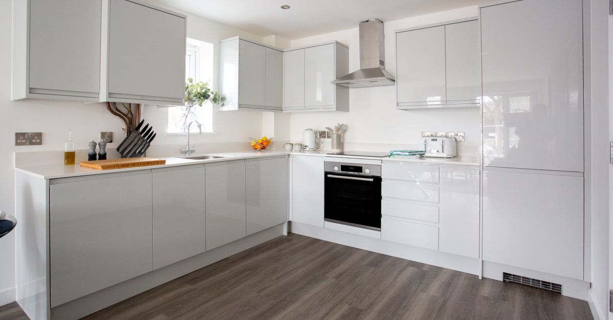 Damp and Mould Complaints Rise in Manchester’s Private Rented Sector